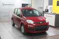 Fiat Panda 1.0 FireFly  Hybrid Icon Grau - thumbnail 1