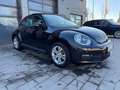 Volkswagen Beetle Lim. Basis Schwarz - thumbnail 3