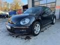 Volkswagen Beetle Lim. Basis Schwarz - thumbnail 4