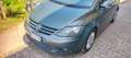 Volkswagen Golf Plus Golf Plus 1.9 tdi Comfortline Verde - thumbnail 6