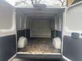 Fiat Ducato tetto  basso passo lungo 2019  6b mjt 2.3 Bianco - thumbnail 9