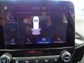 Ford Fiesta 1.1 Ti-VCT,PDC,Winterpak.DAB,Klima. Blanc - thumbnail 13