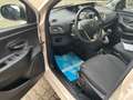 Lancia Ypsilon Ypsilon 1.2 69 CV 5 porte S&S Platinum Beige - thumbnail 15