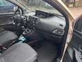 Lancia Ypsilon Ypsilon 1.2 69 CV 5 porte S&S Platinum Beige - thumbnail 14