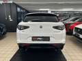 Alfa Romeo Stelvio 2023 2.2 t Competizione Q4 210cv auto Blanc - thumbnail 6
