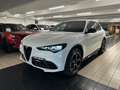 Alfa Romeo Stelvio 2023 2.2 t Competizione Q4 210cv auto Blanc - thumbnail 3