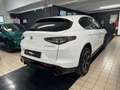Alfa Romeo Stelvio 2023 2.2 t Competizione Q4 210cv auto Blanc - thumbnail 5