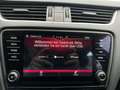 Skoda Octavia TDI Style Limited,* LED, ACC, Navi, Ambiente-Beleu Schwarz - thumbnail 29