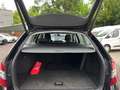 Skoda Octavia TDI Style Limited,* LED, ACC, Navi, Ambiente-Beleu Schwarz - thumbnail 12