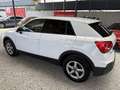 Audi Q2 30 TFSI intense Weiß - thumbnail 5