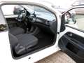 Volkswagen up! (BlueMotion Technology) Klima, 1.Hand Blanc - thumbnail 10