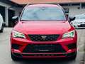 CUPRA Ateca Cupra  4Drive Rot - thumbnail 2