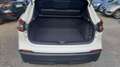Nissan Qashqai 1.5 dci 115cv Bianco - thumbnail 13