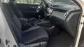 Nissan Qashqai 1.5 dci 115cv Bianco - thumbnail 14