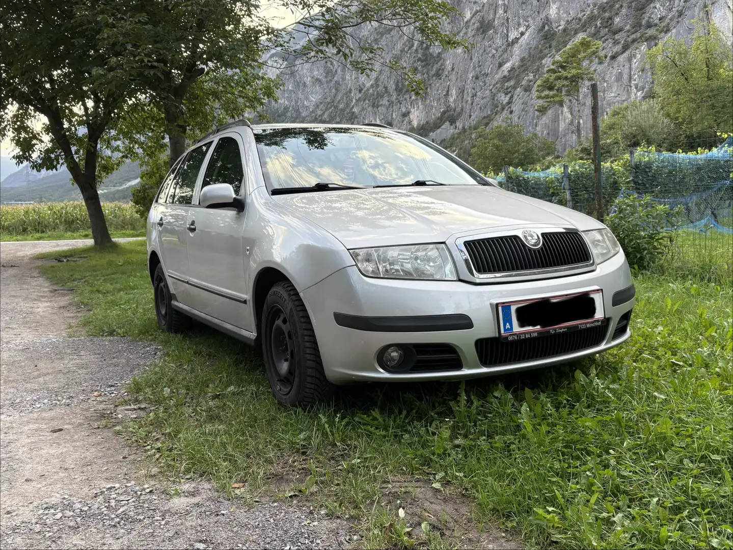 Skoda Fabia Luca 1,4 TDI PD Silber - 1