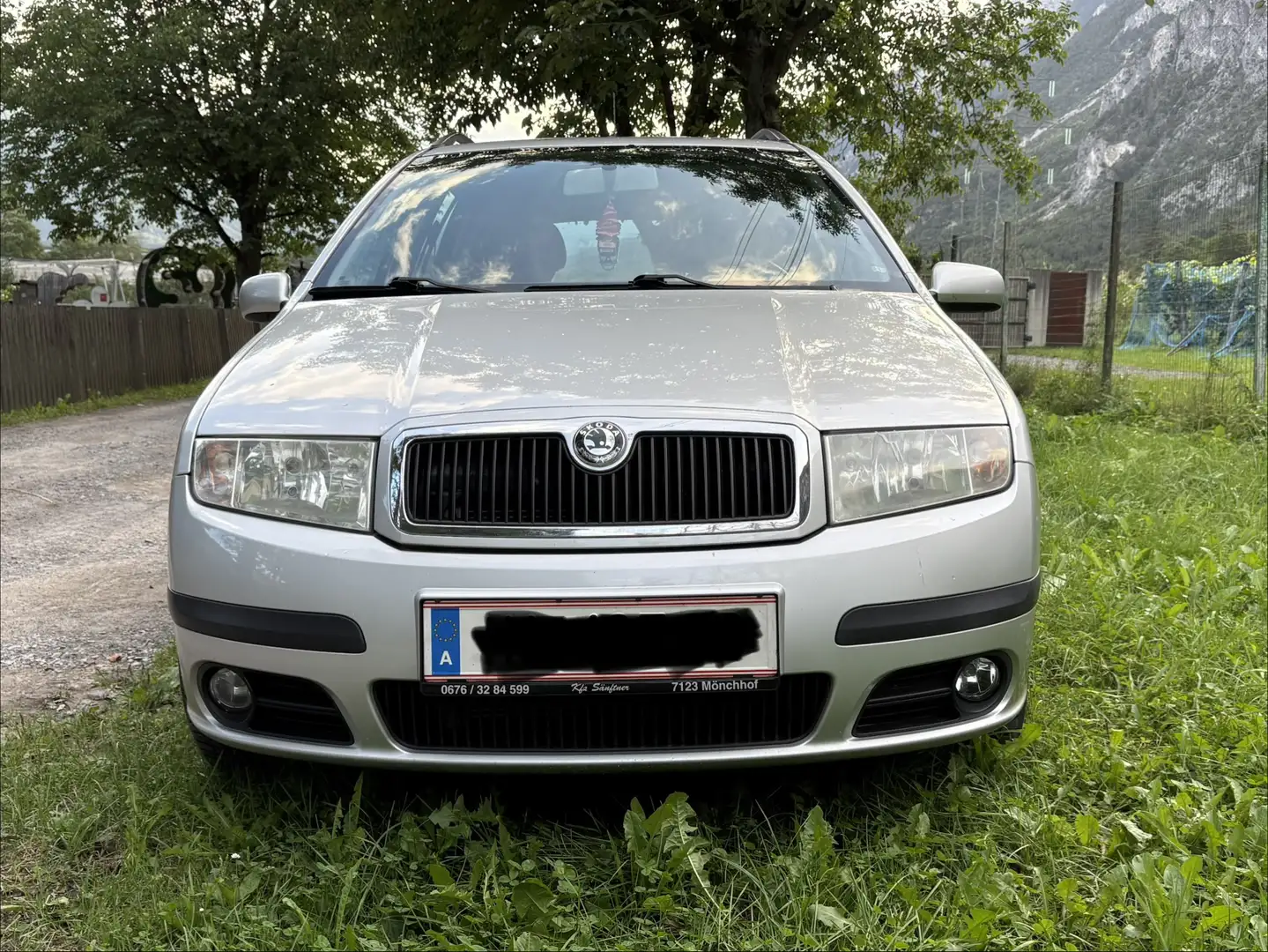 Skoda Fabia Luca 1,4 TDI PD Silber - 2