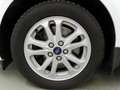 Ford Transit Connect 1.5 250 L2 Trend AHK+Xenon+SHZ Blanco - thumbnail 12