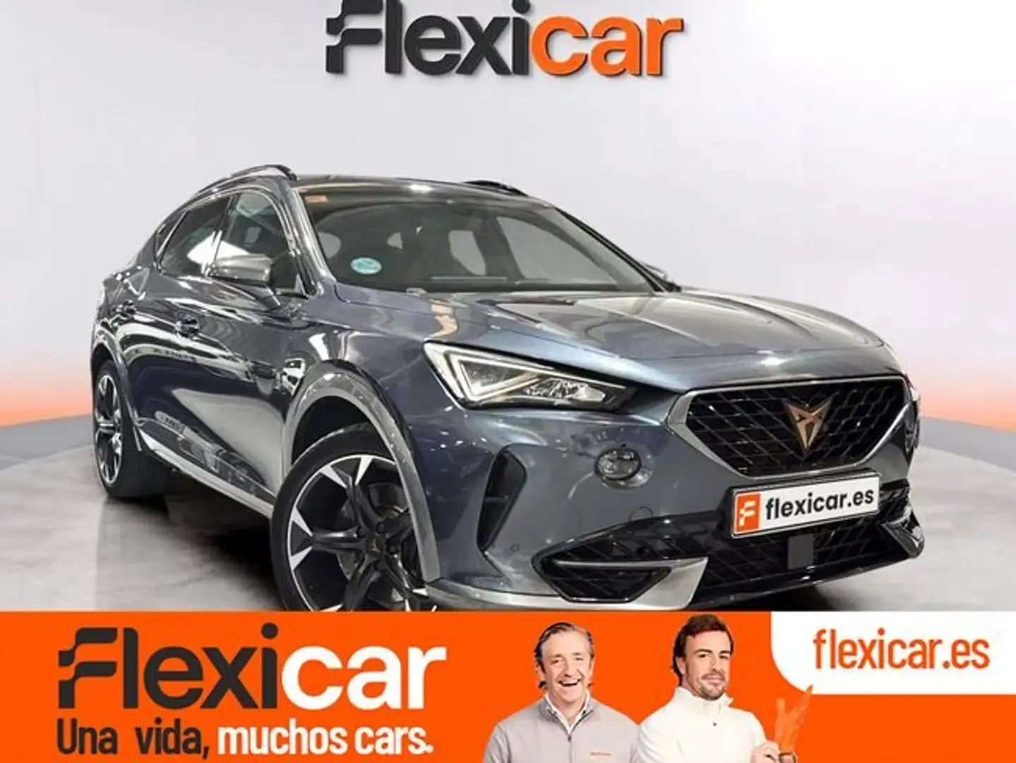 CUPRA Formentor 2.0 TSI 310 VZ DSG 4Drive Gris - 1