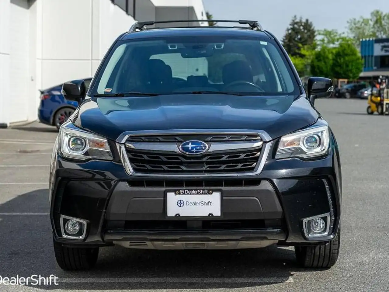 Subaru Forester fotografie Subaru Forester