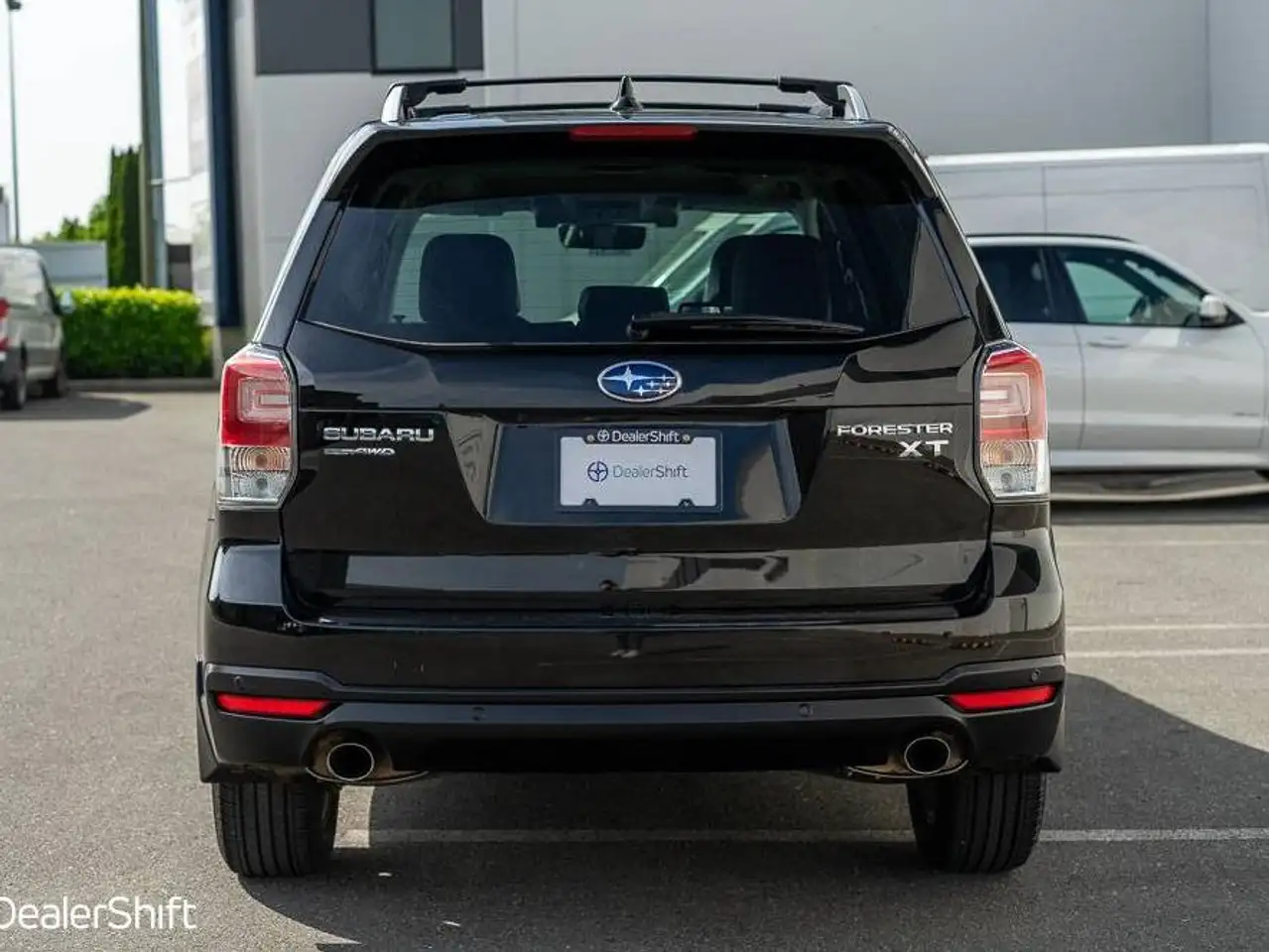 Subaru Forester fotografie Subaru Forester