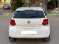 Volkswagen Polo Polo 5p 1.4 tdi Comfortline Bianco - thumbnail 4