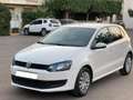 Volkswagen Polo Polo 5p 1.4 tdi Comfortline Bianco - thumbnail 2