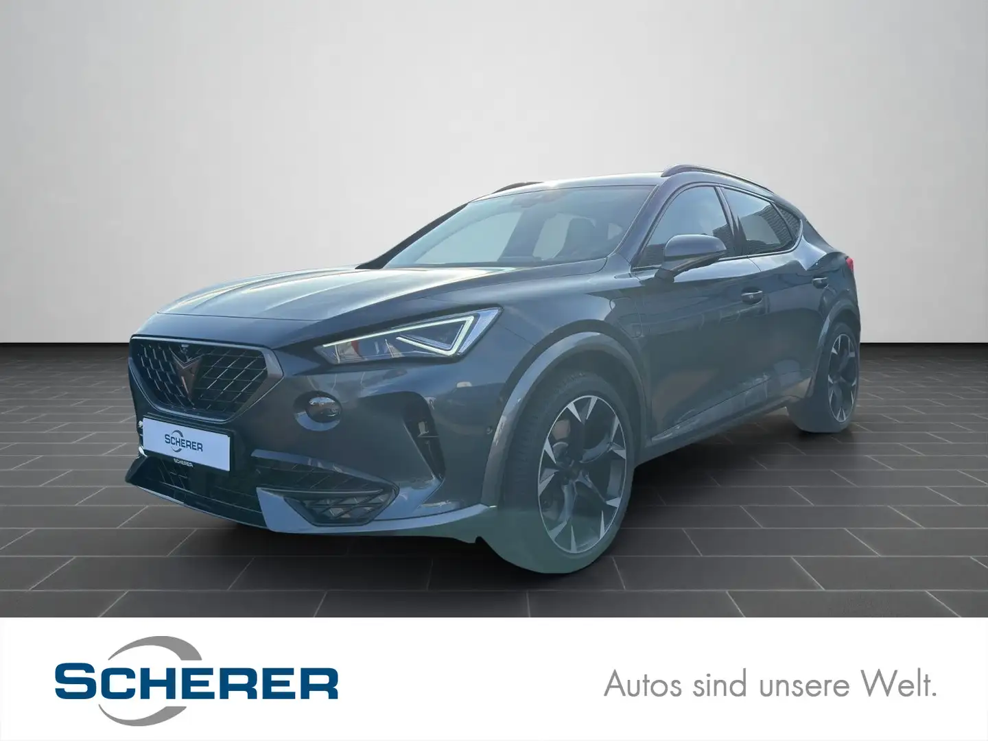 CUPRA Formentor VZ 1.4 TSIe LED PANO NAVI SITZHEIZUNG Grau - 1