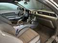Ford Mustang 3.7 V6 Coupé Schwarz - thumbnail 19