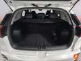 Kia Niro 1.6 HEV Drive Weiß - thumbnail 10