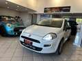 Fiat Punto 1.3 MJT II 75 CV 5 porte Street ok neopatentati Bianco - thumbnail 3