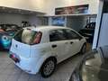 Fiat Punto 1.3 MJT II 75 CV 5 porte Street ok neopatentati Bianco - thumbnail 14