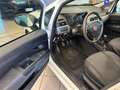 Fiat Punto 1.3 MJT II 75 CV 5 porte Street ok neopatentati Bianco - thumbnail 5