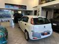 Fiat Punto 1.3 MJT II 75 CV 5 porte Street ok neopatentati Bianco - thumbnail 13