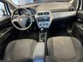 Fiat Punto 1.3 MJT II 75 CV 5 porte Street ok neopatentati Bianco - thumbnail 10
