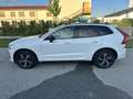 Volvo XC60 R Design AWD Weiß - thumbnail 4