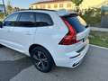 Volvo XC60 R Design AWD Weiß - thumbnail 8