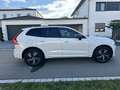Volvo XC60 R Design AWD Weiß - thumbnail 5