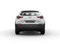 Mazda MX-30 e-Skyactiv 35,5 kWh 143 CV Automatica Prime Line Bianco - thumbnail 4