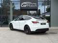 Tesla Model Y Dual Motor Performance Blanc - thumbnail 7