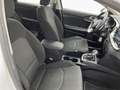 Kia Ceed / cee'd 1.0 MHEV Eco-Dynamics Drive DCT 120 - thumbnail 19