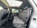 Ford S-Max S-MAX 2.0 TDCi Titanium Panorama|Navi|Klima Blanc - thumbnail 13