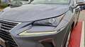 Lexus NX 300h 300H 2WD PACK BUSINESS - thumbnail 17