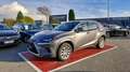 Lexus NX 300h 300H 2WD PACK BUSINESS - thumbnail 1