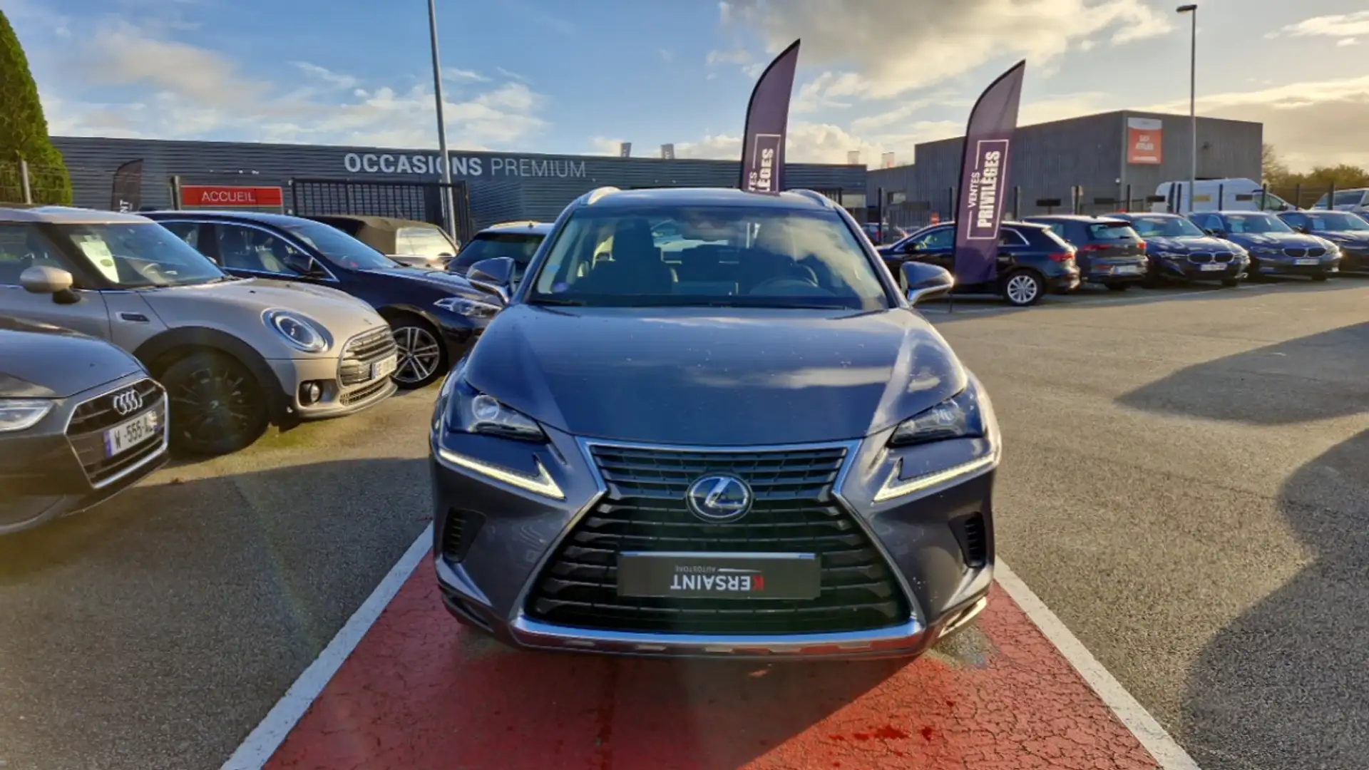 Lexus NX 300h 300H 2WD PACK BUSINESS - 2