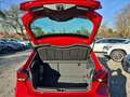 SEAT Ibiza 1.5 TSI Black Edition Kamera LED Rot - thumbnail 7