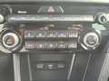 Kia Sportage 1.6 MHEV Black Edition 100kW (136CV) 4x2 Blanc - thumbnail 25