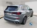 BMW X5 xDrive30d M Sport Autobahnas. Pano Sthzg. AHK Grau - thumbnail 5