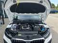 Skoda Scala 1.0 TSI Essence LED Klima Sitzheizung Weiß - thumbnail 15