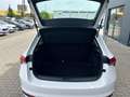 Skoda Scala 1.0 TSI Essence Neues Modell 2024 Sofort lieferb Weiß - thumbnail 13