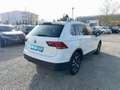 Volkswagen Tiguan TDi 4Motion ACC/AHK/Navi/PDC/Kamera Weiß - thumbnail 7